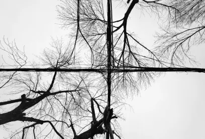 Billion Kasino Mobilná aplikácia